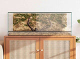 Terrarium with Storage Transparent 80 x 40 x 40 cm Glass 42020392