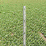 Welded Wire Fence 50 x 0.4 m Hot-Dip Galvanised Steel 3337019