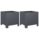 Garden Planters 2 pcs Anthracite 30x30x30 cm Steel 851190