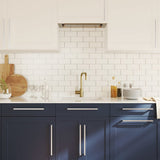 Cabinet Handles 10 pcs Silver 320 mm Stainless Steel 3203669