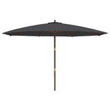Garden Parasol with Wooden Pole Black 400x273 cm 363181