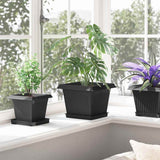 Plant Pots 24 pcs Black Plastic 3403313