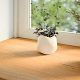 Window Sills 2 pcs Light Brown 70x25x2 cm Solid Wood Oak 4009141