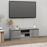 TV Cabinet with Door Grey Sonoma 102x30x36 cm 823356