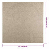 Rug ZIZUR Beige 240x240 cm Jute Look Indoor and Outdoor 4010412