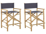 Folding Director's Chair 2 pcs Natural Bamboo 42028053