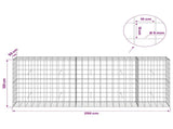 Gabion with 5 mm Wire and 10x10 cm Mesh 250x50x100 cm 3465215