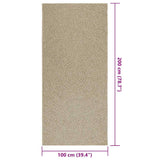Rug ZIZUR Beige 100x200 cm Jute Look Indoor and Outdoor 4010405