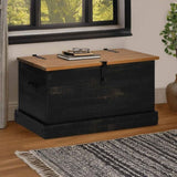 ZNTS Storage Chest HALDEN Black 91x48x47 cm Solid Wood Pine 4018404