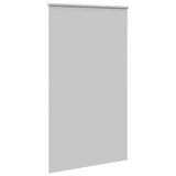 ZNTS Roller Blind Blackout Light Grey 140x230 cm Fabric Width 136.6 cm Polyester 4011474