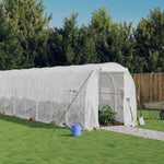 ZNTS Greenhouse with Steel Frame White 24 m² 12x2x2 m 3188032