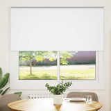 ZNTS Roller Blind Blackout White 150x150 cm Fabric Width 146.6 cm Polyester 4011918