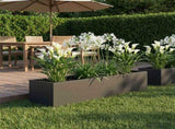 Garden Planter Black 100 x 20 x 20 cm Cold-rolled Steel 8005176
