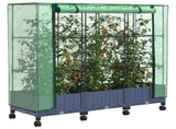 Garden Planter with Greenhouse Cover&Wheels 3 pcs Blue Grey PP 3423063
