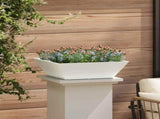 Garden Planter 5 pcs White 50 x 50 x 15 cm Cold-rolled Steel 873827