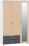 ZNTS Brooklyn 3 Door 2 Drawer Mirrored Wardrobe 100-101-192