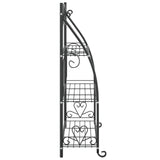 ZNTS Flower Rack Black 56x30x96 cm Steel 319353