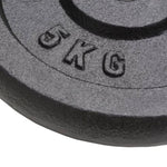 ZNTS Weight Plates 4 pcs 4x5 kg Cast Iron 91392