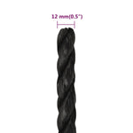 Work Rope Black 12 mm 250 m Polypropylene 153019