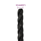 Work Rope Black 12 mm 250 m Polypropylene 153019