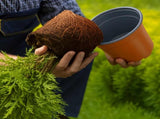 Flower Pot 200 pcs Terracotta 15 x 13 cm Plastic 42029489