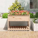 ZNTS Planter with Shelf 111.5x111.5x81 cm Solid Wood Pine 823801