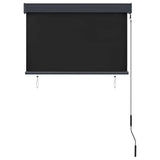 Outdoor Roller Blind 100x250 cm Anthracite 145958