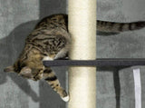 Cat Tree 01255332