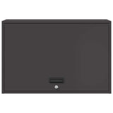 Wall Cabinet for Garage with Gas-lift Door Black 883264