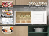 35L Mini Freezer, -24&degC to -14&degC Temperature - White T3398P378864