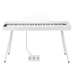 ZNTS GDP-203 88 Key Standard Full Weighted Keyboards Digital Piano with Metal Stand, 07597539