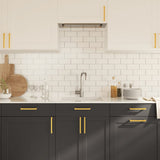 ZNTS Cabinet Handles 20 pcs Gold 160 mm Stainless Steel 3203646