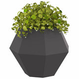 Planter 2 pcs Black 50 x 50 x 40 cm Steel 884053
