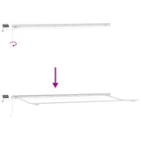 Awning Frame with LED Strip Lights White 600 x 300 cm Aluminium 313204