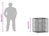 Gabion Raised Bed Silver 42033326