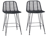 Bar Chair 2 pcs 44 x 52 x 111 cm Rattan and Iron 42011549