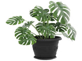 Plant Pots 6 pcs Black 34 x 28 cm Plastic 3403278
