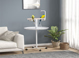 Bird Stand 39546561