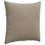 Sofa Pillows 2 pcs Taupe 80 x 80 cm Fabric 42014069