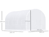 2.5 x 2 x 2 m Polytunnel Greenhouse, Walk-in Green House for Garden with Mesh Windows, Galvanised T3398P313649