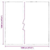 Clear Tarpaulin with Eyelets 12x12 m Polyethylene 4018538