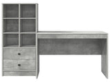 Desk with Drawer with Shelf with Storage 2 pcs Concrete Grey 3337364