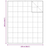 2-in-1 Duvet White 240 x 220 cm Down 42007672
