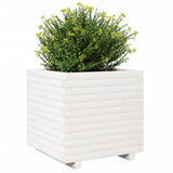 Garden Planter White 50x50x49.5 cm Solid Wood Pine 3282515