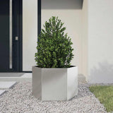 Garden Planter Hexagon 69x60x45 cm Stainless Steel 851126