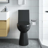 Rimless Toilet 7 cm Extra Height Soft Close Ceramic Black 145780
