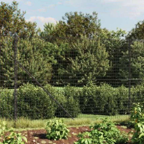 Wire Mesh Fence Anthracite 1.4x25 m Galvanised Steel 154203