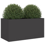 ZNTS Planter Black 62x30x29 cm Steel 841589