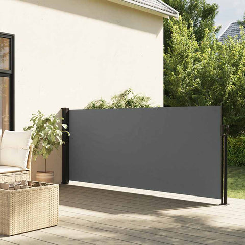 ZNTS Retractable Side Awning Anthracite 100x300 cm 4004278