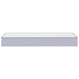 Foam Mattress Medium Soft 100x200 cm 373006